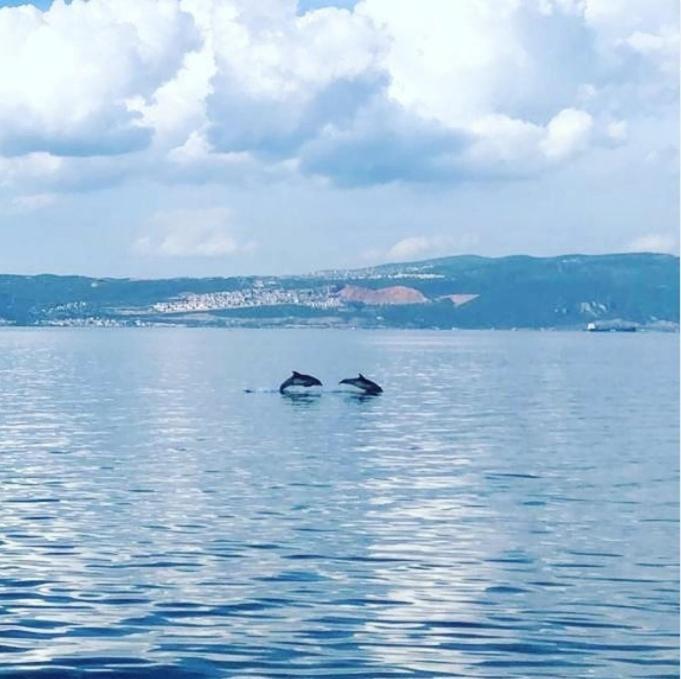 Blue Pier Hotel Kocaeli Zewnętrze zdjęcie